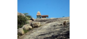 வேலாயுத சுவாமி கோயில் - உகந்தை
